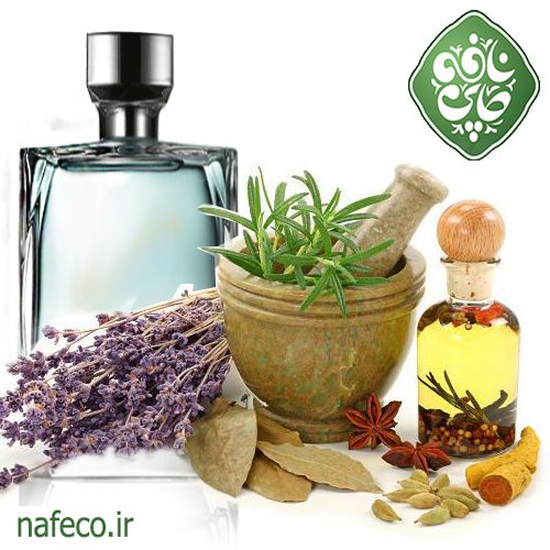 گیاهان معطر گیاهان معطر