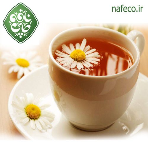 بابونه بهارنارنج بابونه بهارنارنج