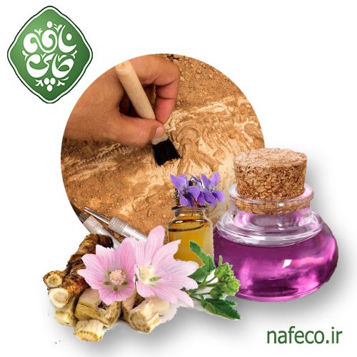 حفاری باستان شناسان از گیاهان