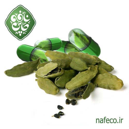مشخصات گیاه هل