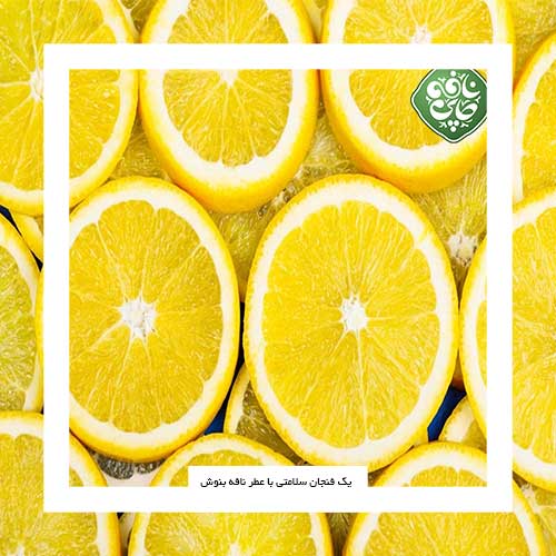 درخت لیمو ترش