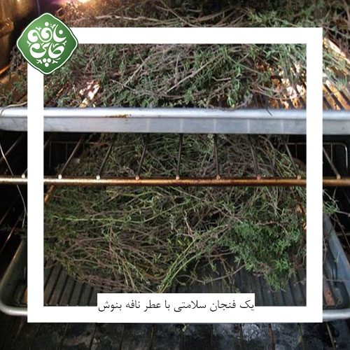 خشك كردن گیاهان دارویی