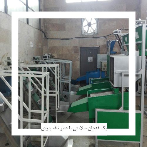 سورتینگ گیاهان دارویی