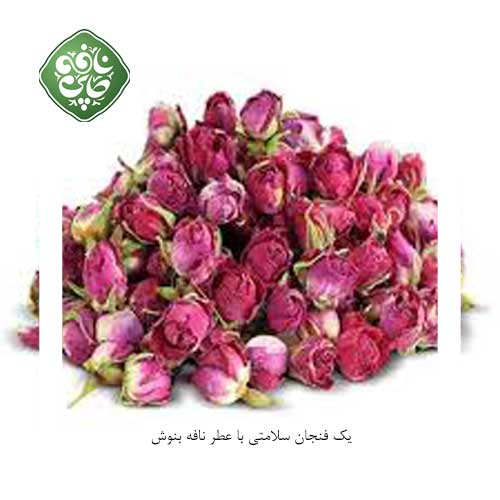 گل سرخ