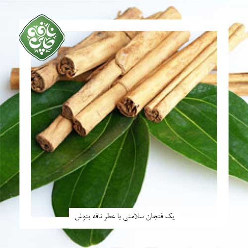 دارچین