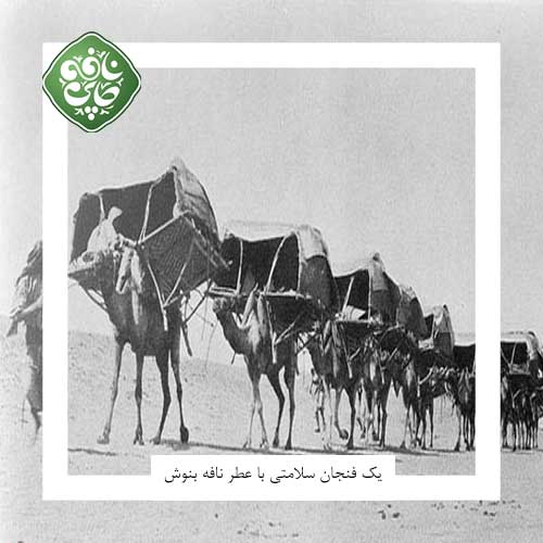 تجارت چین