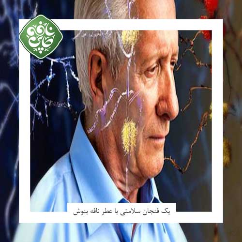 دارچین