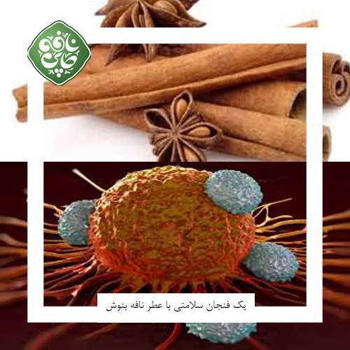 پیشگیری از سرطان با دارچین