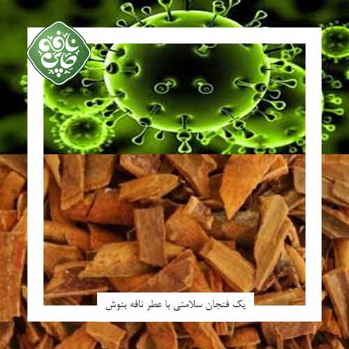 دارچین