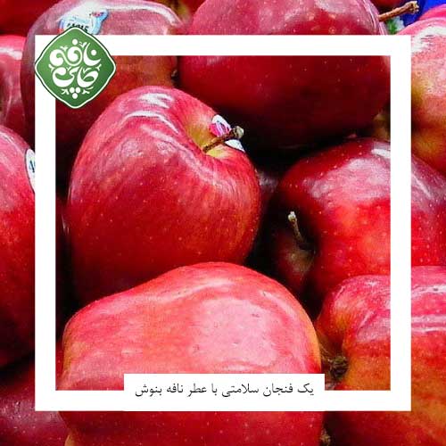 سیب درختی