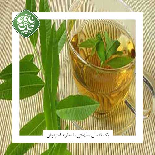 دمنوش به لیمو
