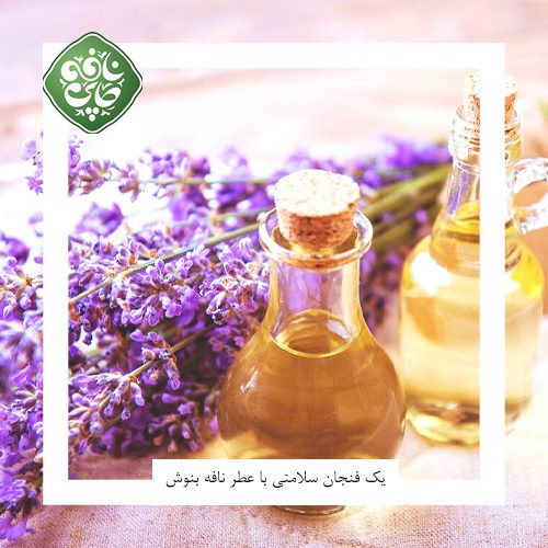 لاوندر